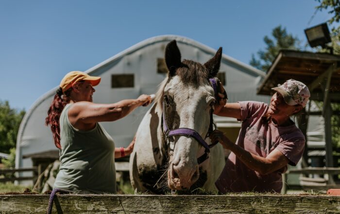 Two women brush the coat of a horse.