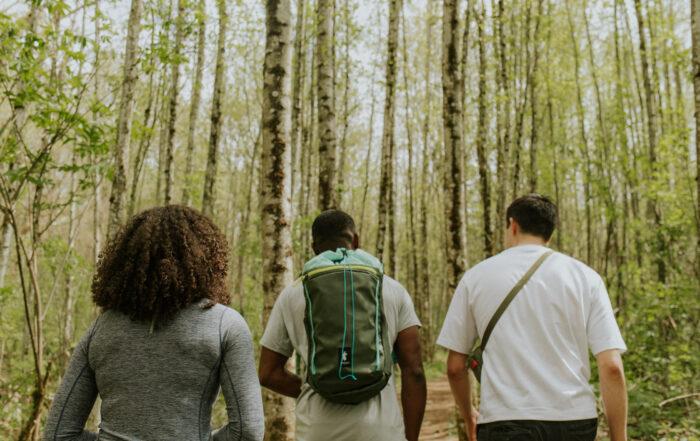 Three people in the forest, their backs to the camera, as they begin their hike into the wild