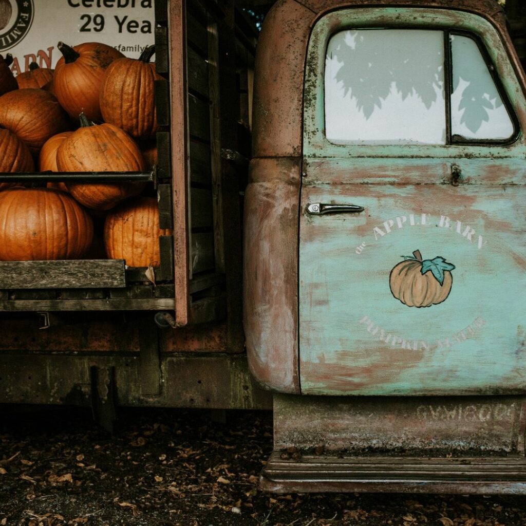 pumpkins and trucks