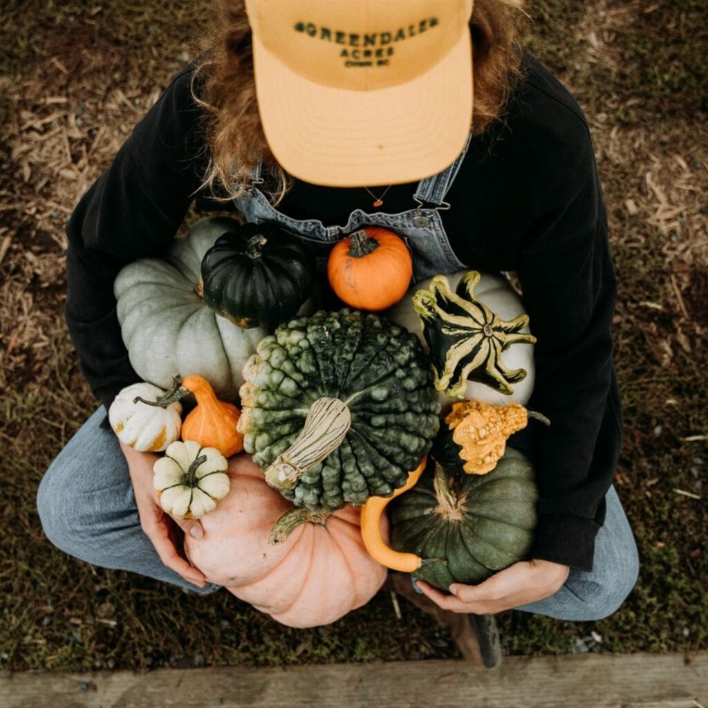 person holding gourds