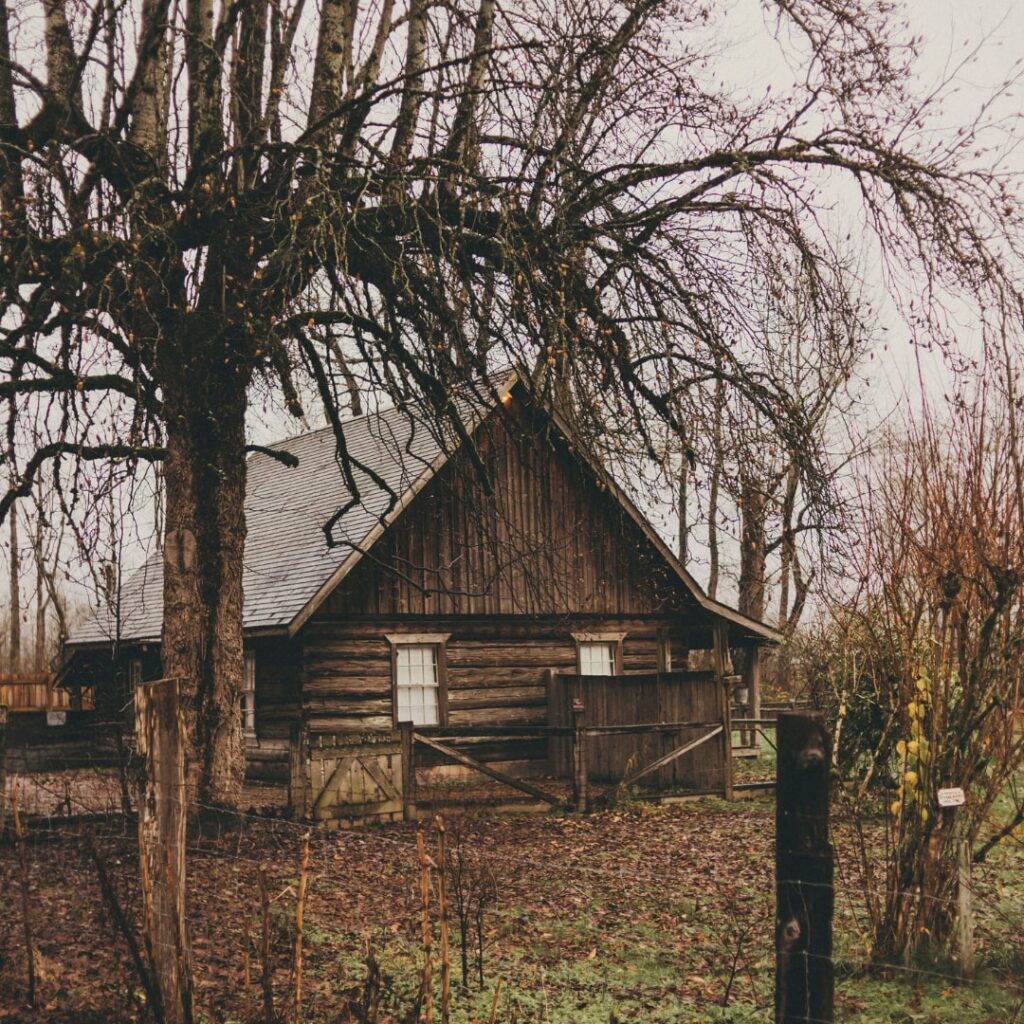 spooky wooden house