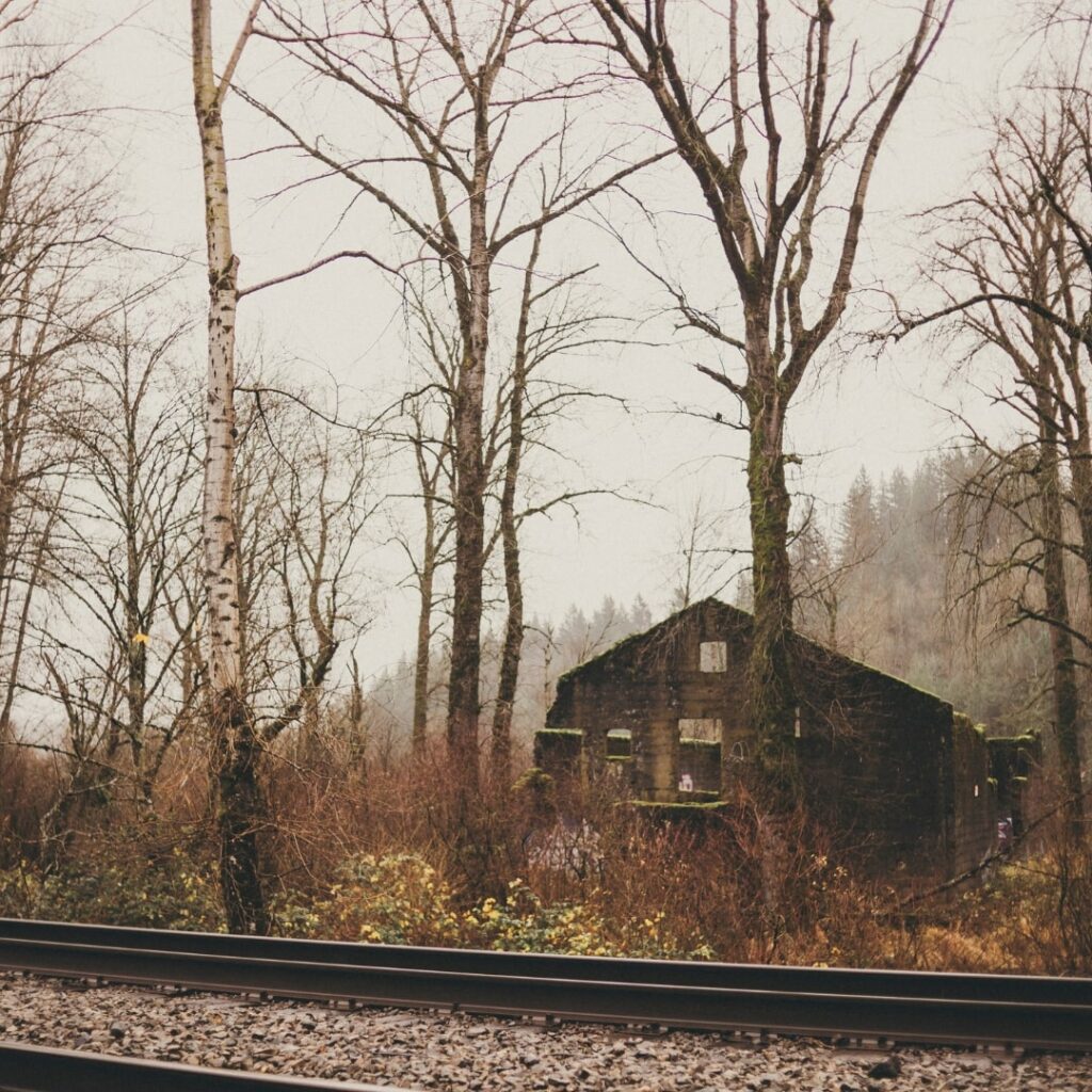 spooky wooden house