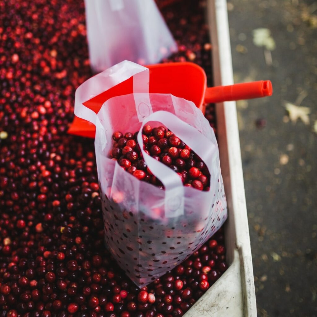 bag of cranberries