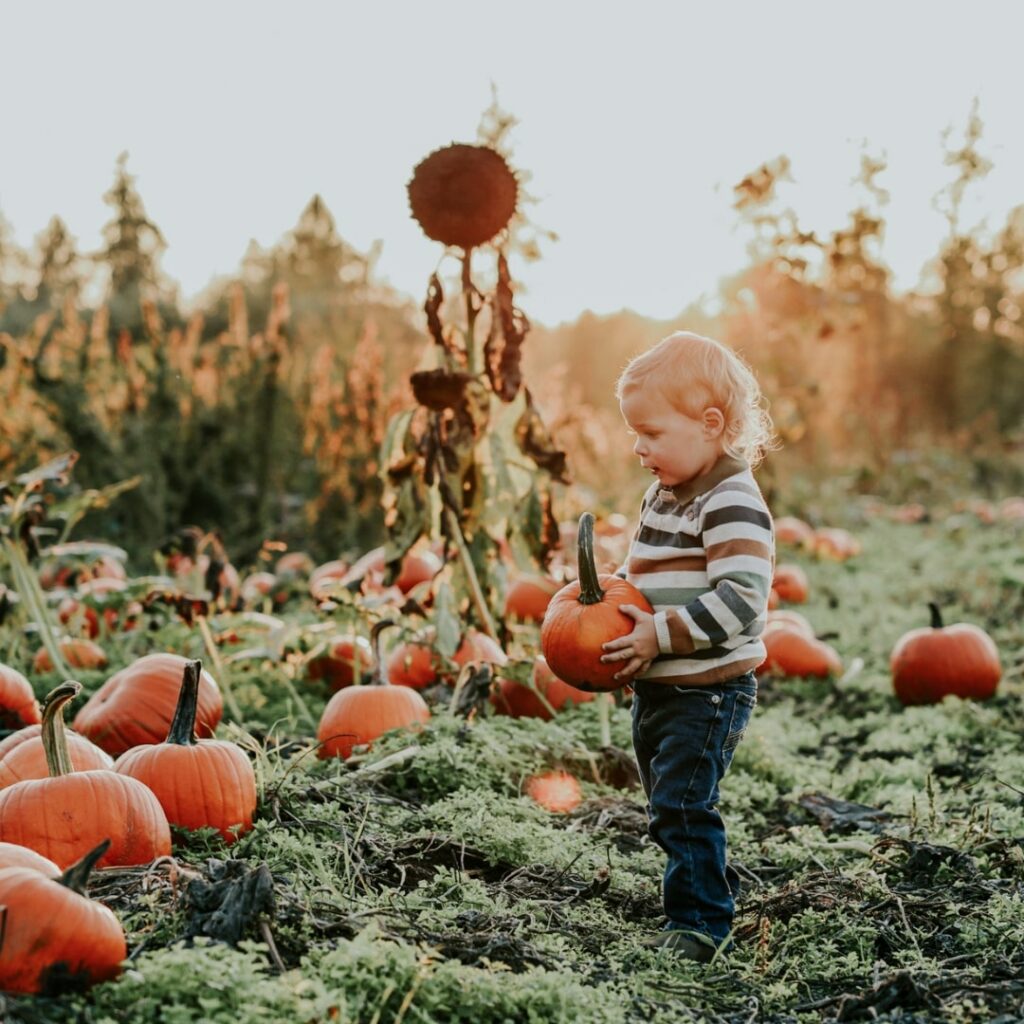 child in pumpkin patch