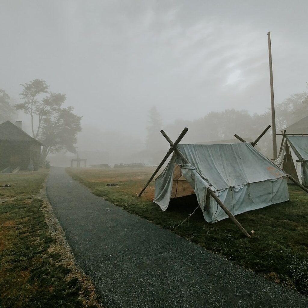 foggy grounds