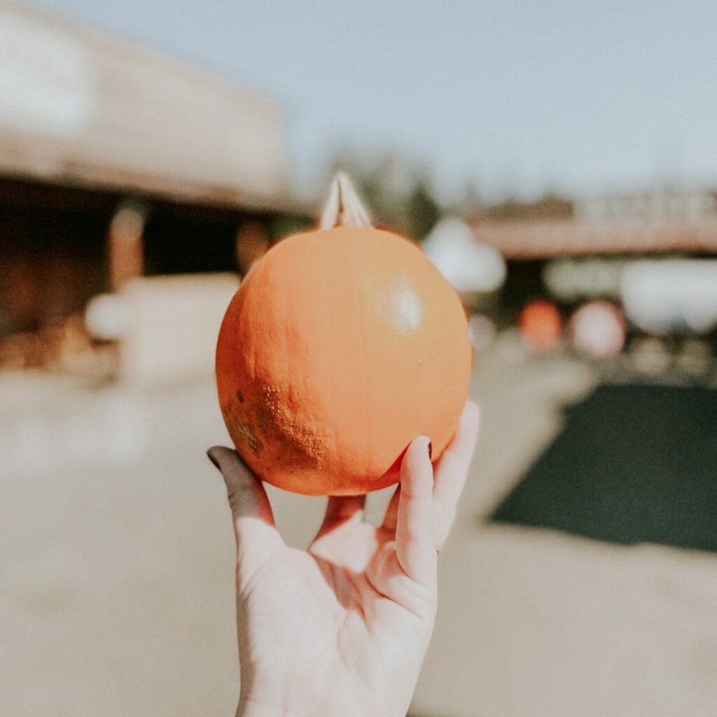 hand holding mini pumpkin