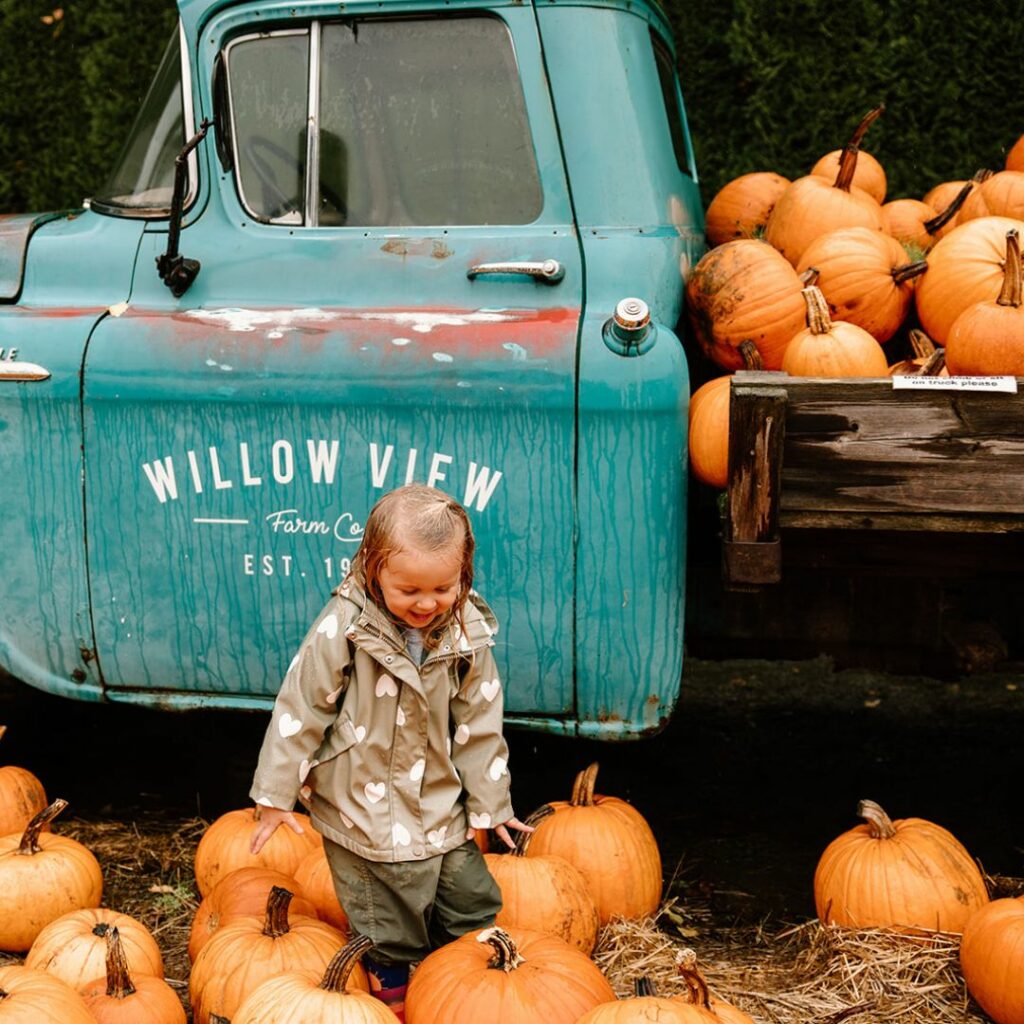 child with pumpkins and truck