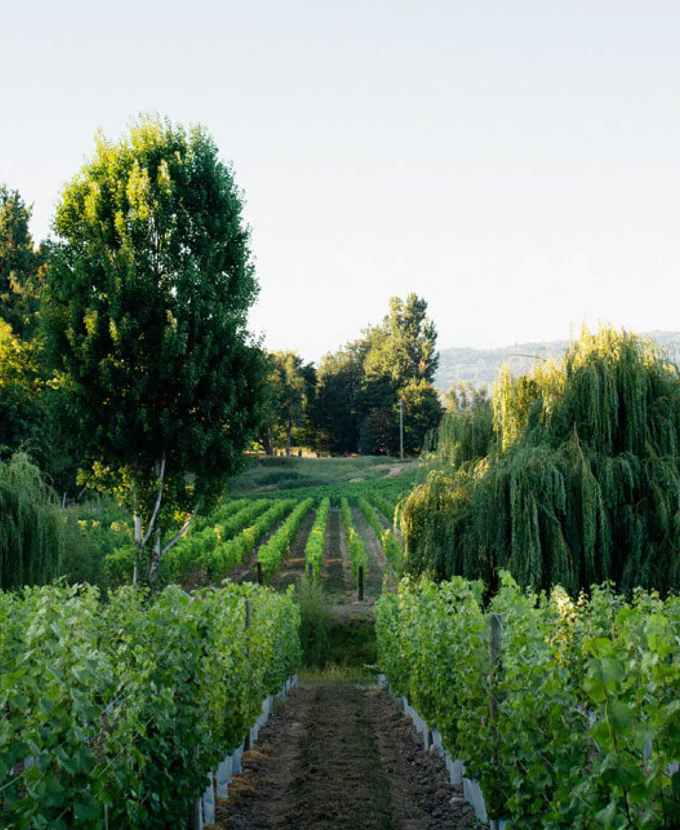 Abbotsford Circle Farm Tour Green