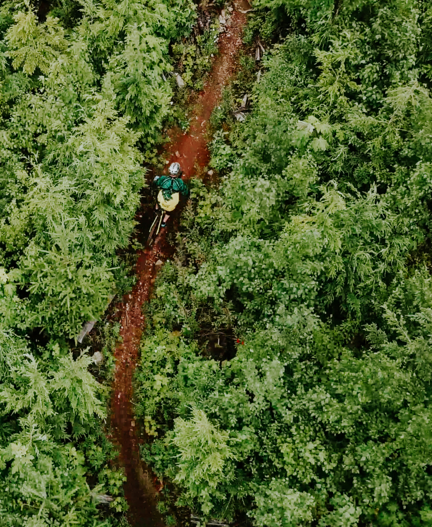 Aerial View Of Mountain Biker