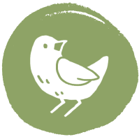 Bird Watching Icon Green