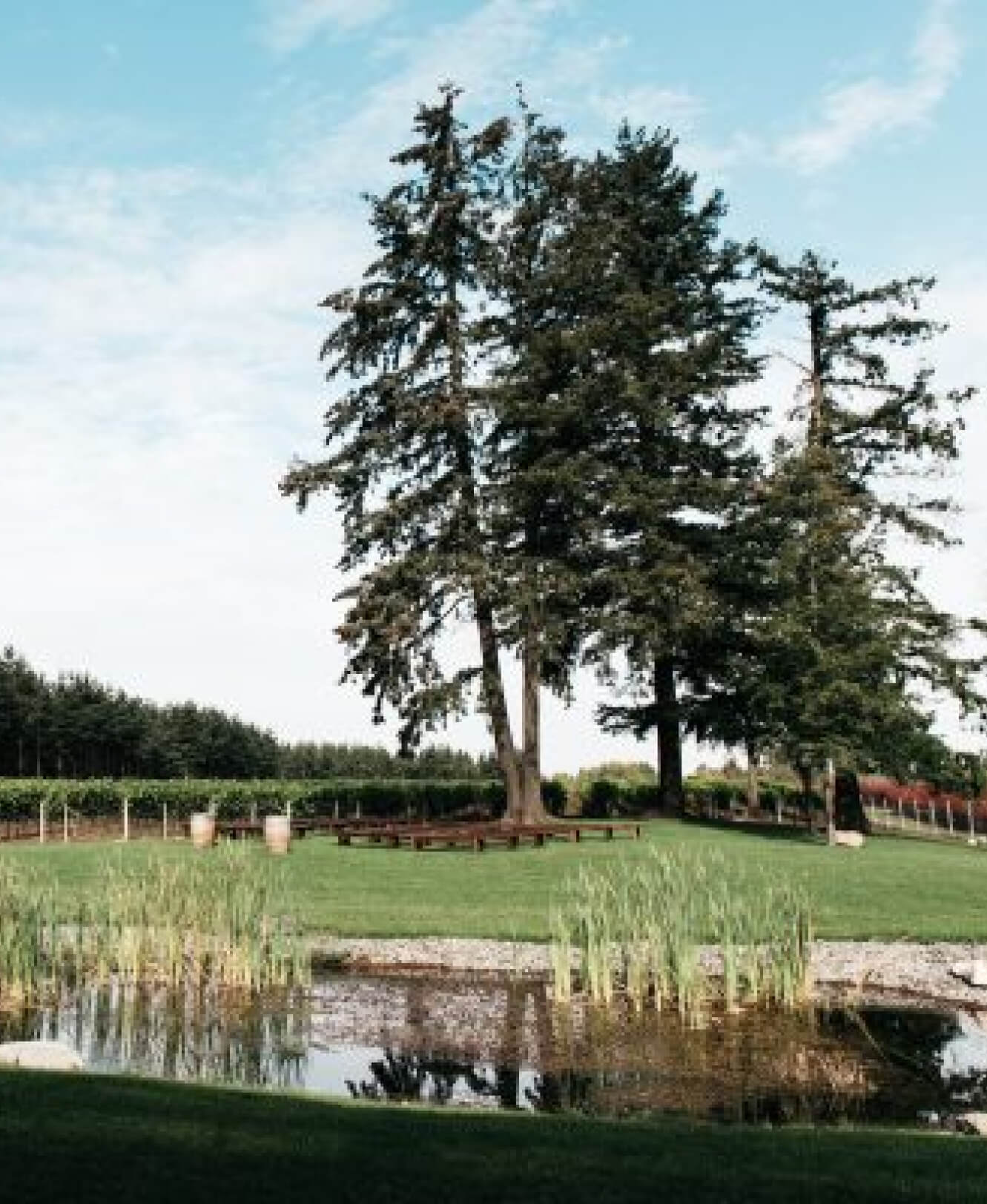 Langley Circle Farm Tour Trees